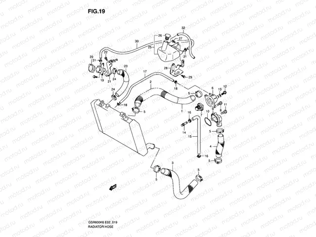 19 - RADIATOR HOSE
