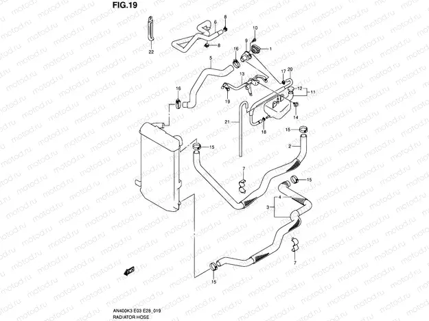 19 - RADIATOR HOSE