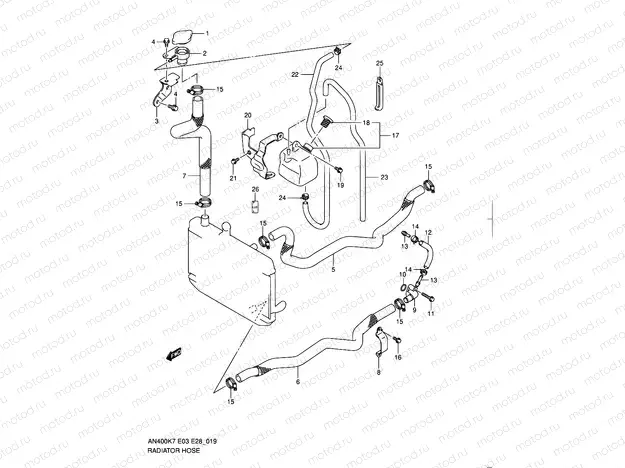 19 - RADIATOR HOSE