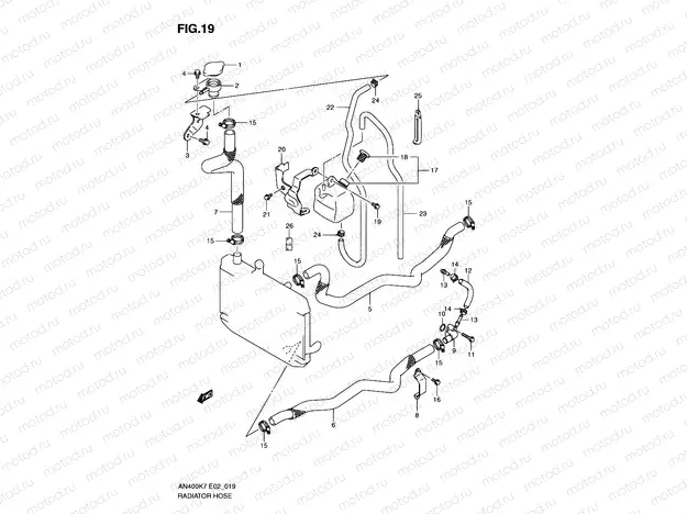 19 - RADIATOR HOSE
