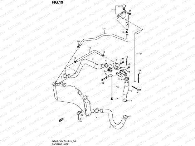 19 - RADIATOR HOSE
