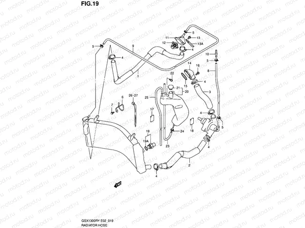 19 - RADIATOR HOSE