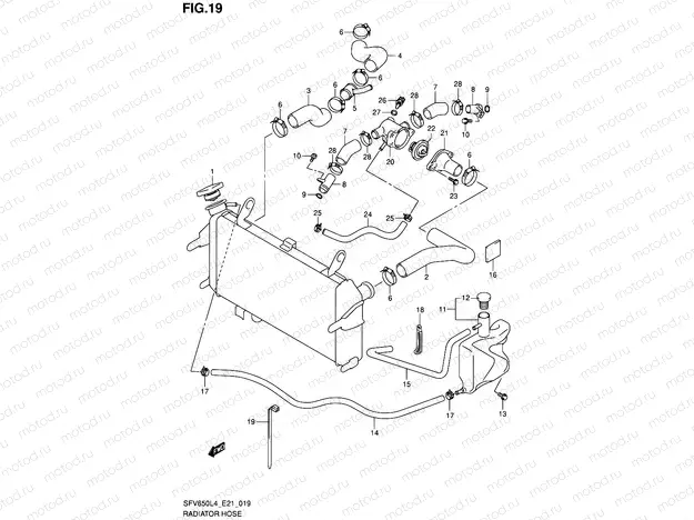 19 - RADIATOR HOSE (SFV650L4 E21)