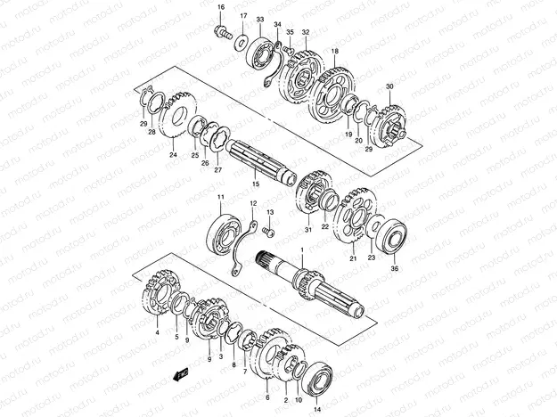 19 - TRANSMISSION
