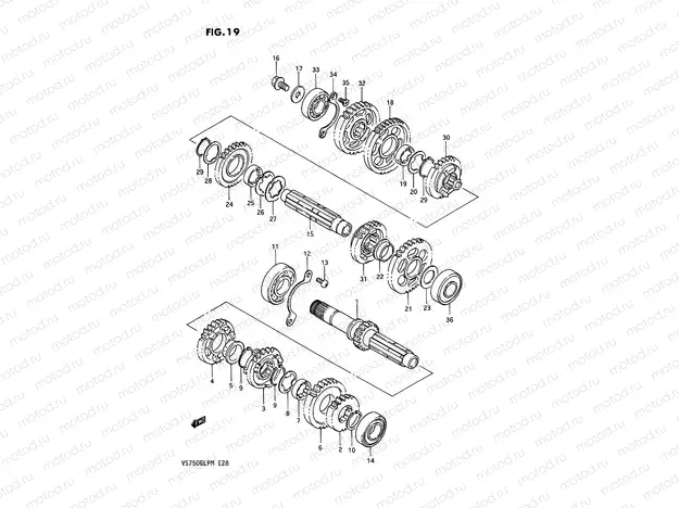 19 - TRANSMISSION