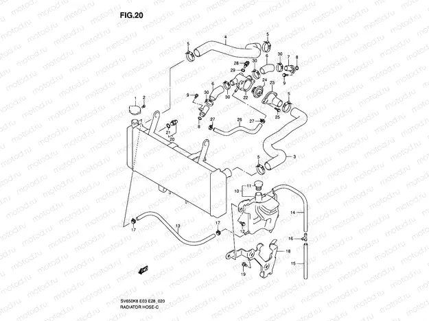20 - RADIATOR HOSE