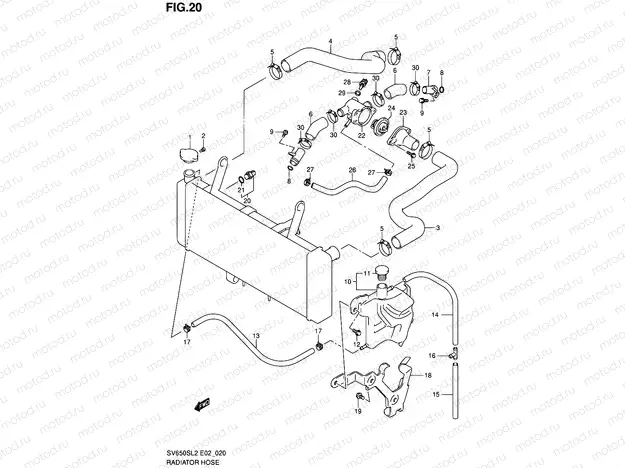 20 - RADIATOR HOSE