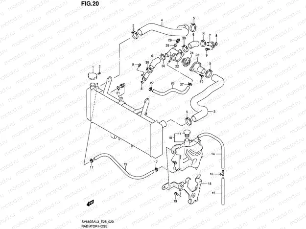 20 - RADIATOR HOSE
