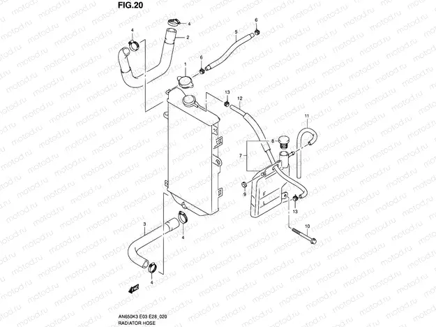 20 - RADIATOR HOSE