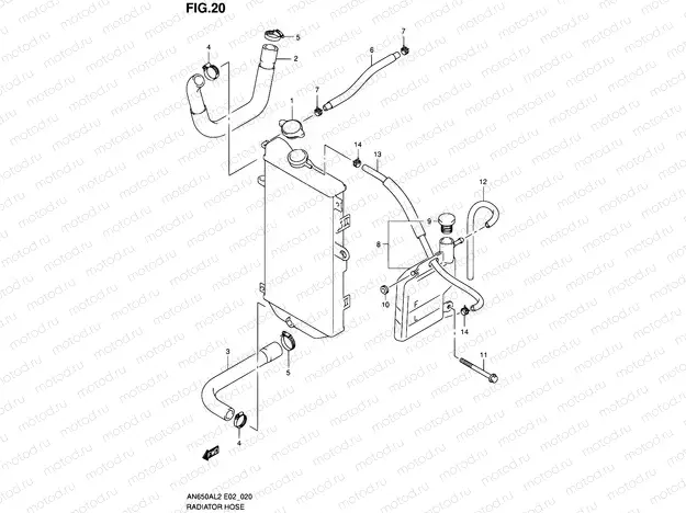 20 - RADIATOR HOSE