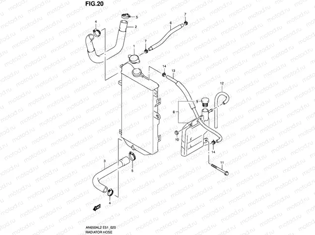 20 - RADIATOR HOSE