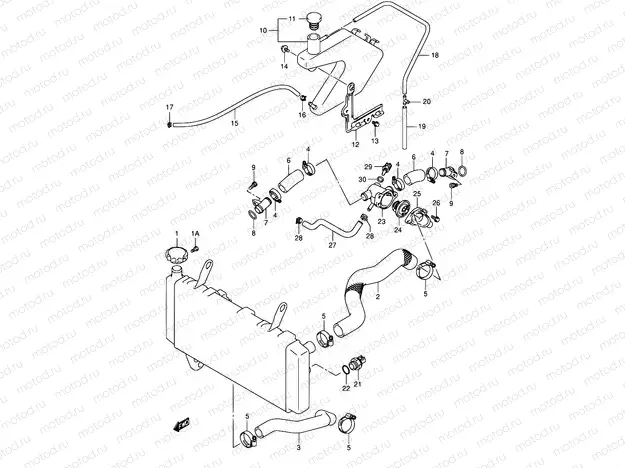 20 - RADIATOR HOSE