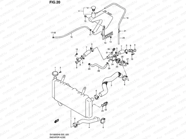 20 - RADIATOR HOSE