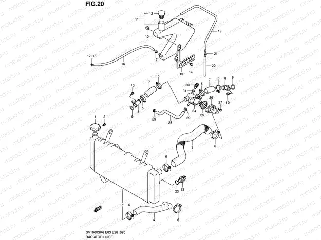 20 - RADIATOR HOSE