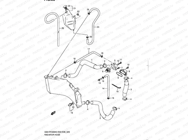 20 - RADIATOR HOSE