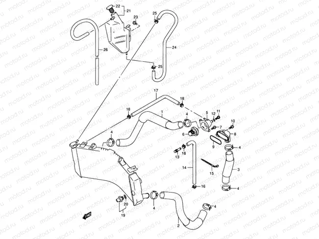 20 - RADIATOR HOSE