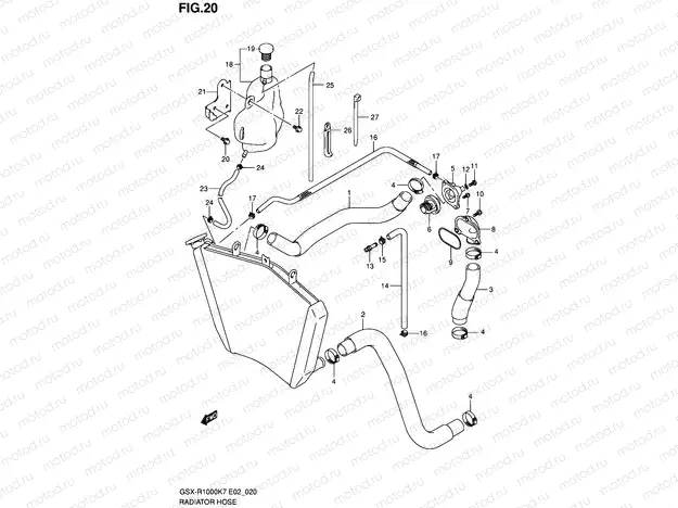 20 - RADIATOR HOSE