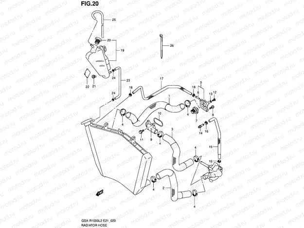 20 - RADIATOR HOSE