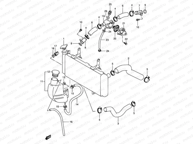20 - RADIATOR HOSE