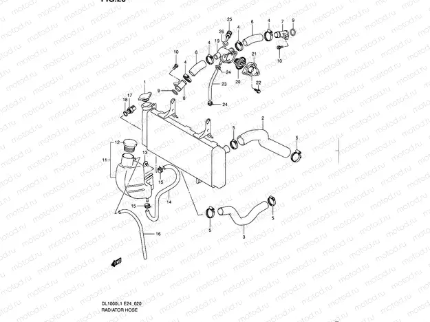 20 - RADIATOR HOSE
