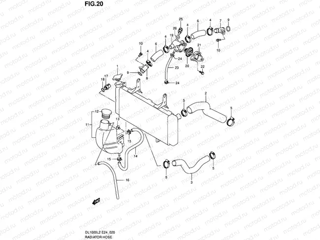 20 - RADIATOR HOSE