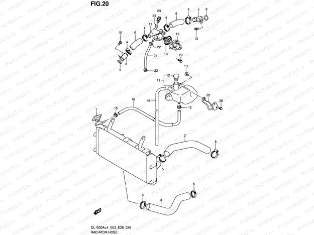 20 - RADIATOR HOSE