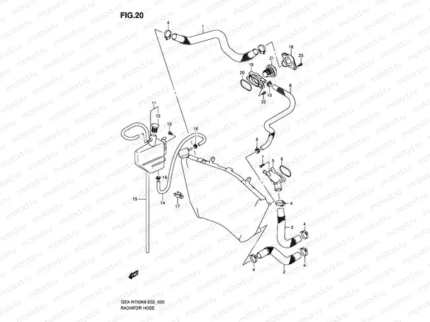 20 - RADIATOR HOSE