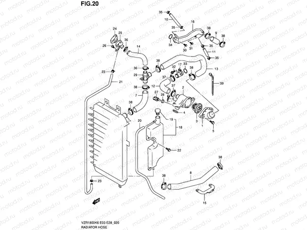 20 - RADIATOR HOSE