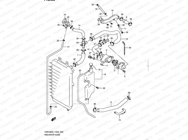 20 - RADIATOR HOSE