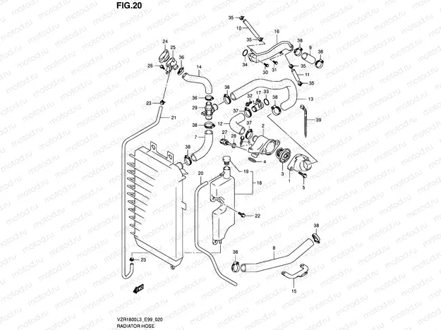 20 - RADIATOR HOSE