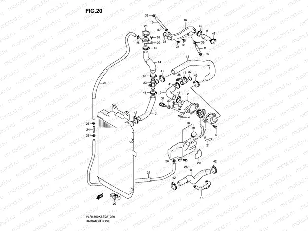20 - RADIATOR HOSE