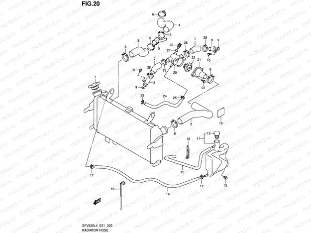20 - RADIATOR HOSE (SFV650UL4 E21)
