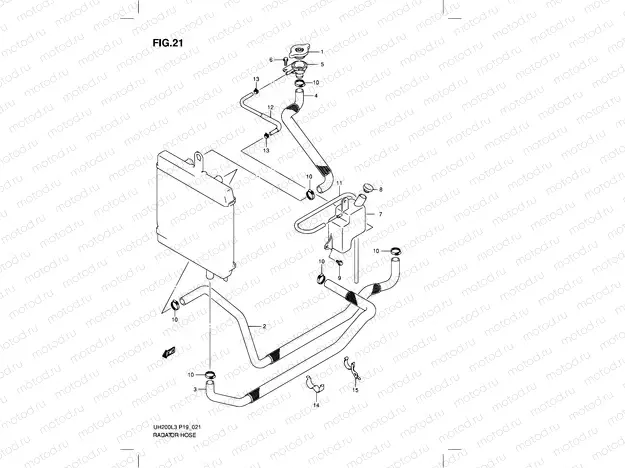 21 - RADIATOR HOSE