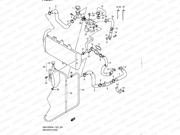 21 - RADIATOR HOSE