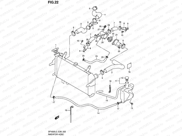22 - RADIATOR HOSE