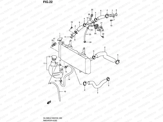 22 - RADIATOR HOSE