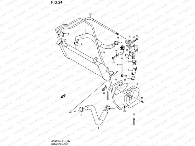 24 - RADIATOR HOSE