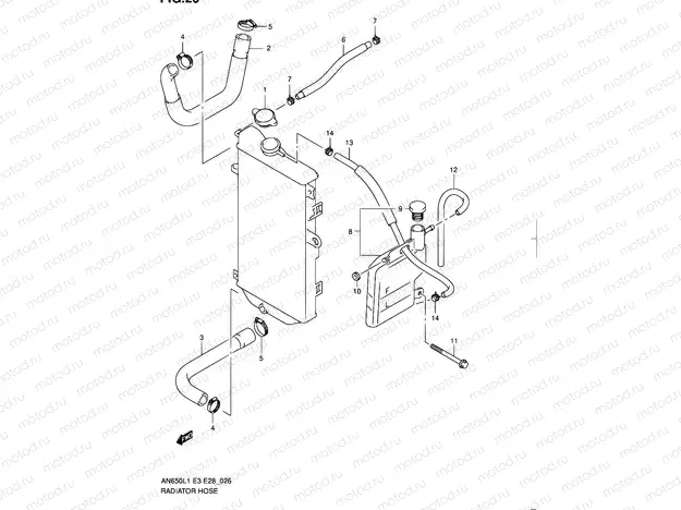 26 - RADIATOR HOSE