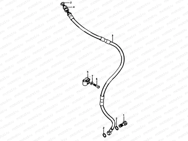 28 - FRONT HOSE