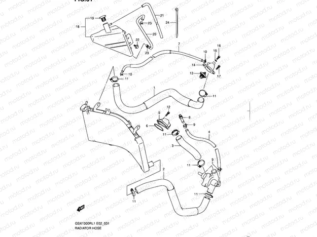 31 - RADIATOR HOSE