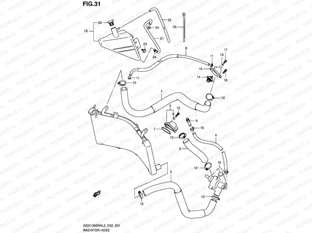 31 - RADIATOR HOSE