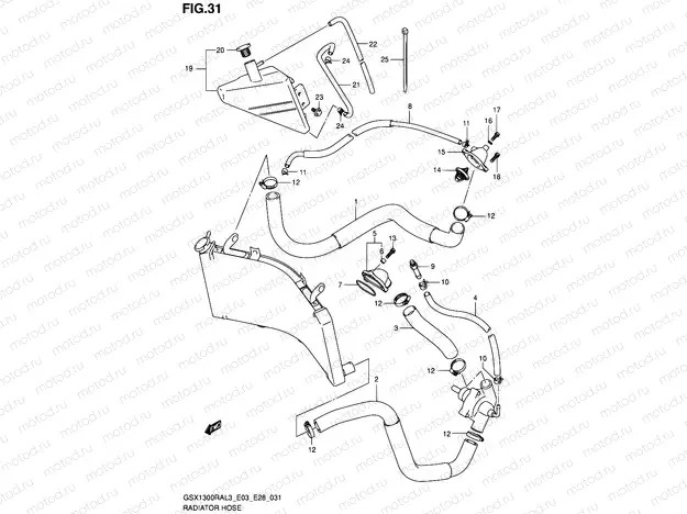 31 - RADIATOR HOSE