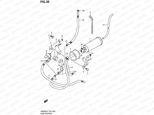 39 - EVAP SYSTEM