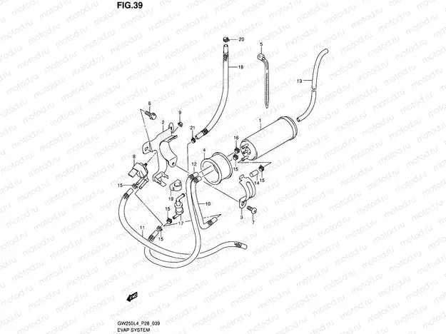 39 - EVAP SYSTEM