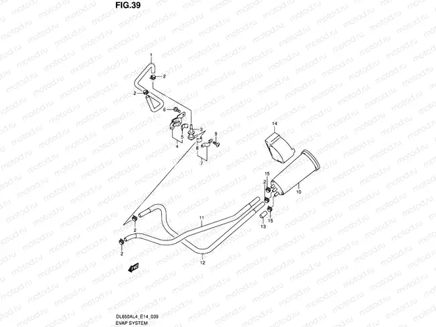 39 - EVAP SYSTEM