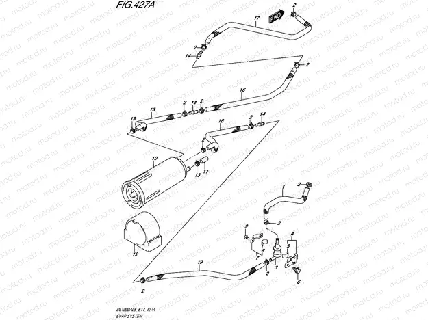 427A - EVAP SYSTEM