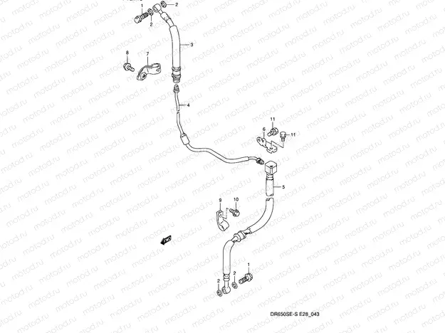 43 - FRONT BRAKE HOSE