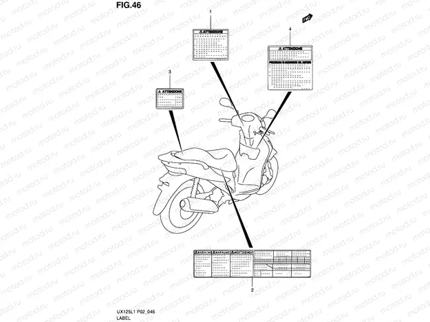 46 - LABEL P19