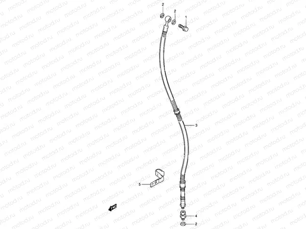 50 - FRONT BRAKE HOSE