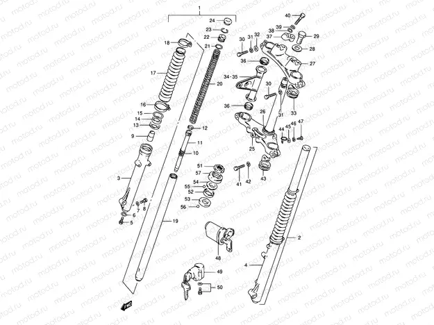 55 - FRONT FORK